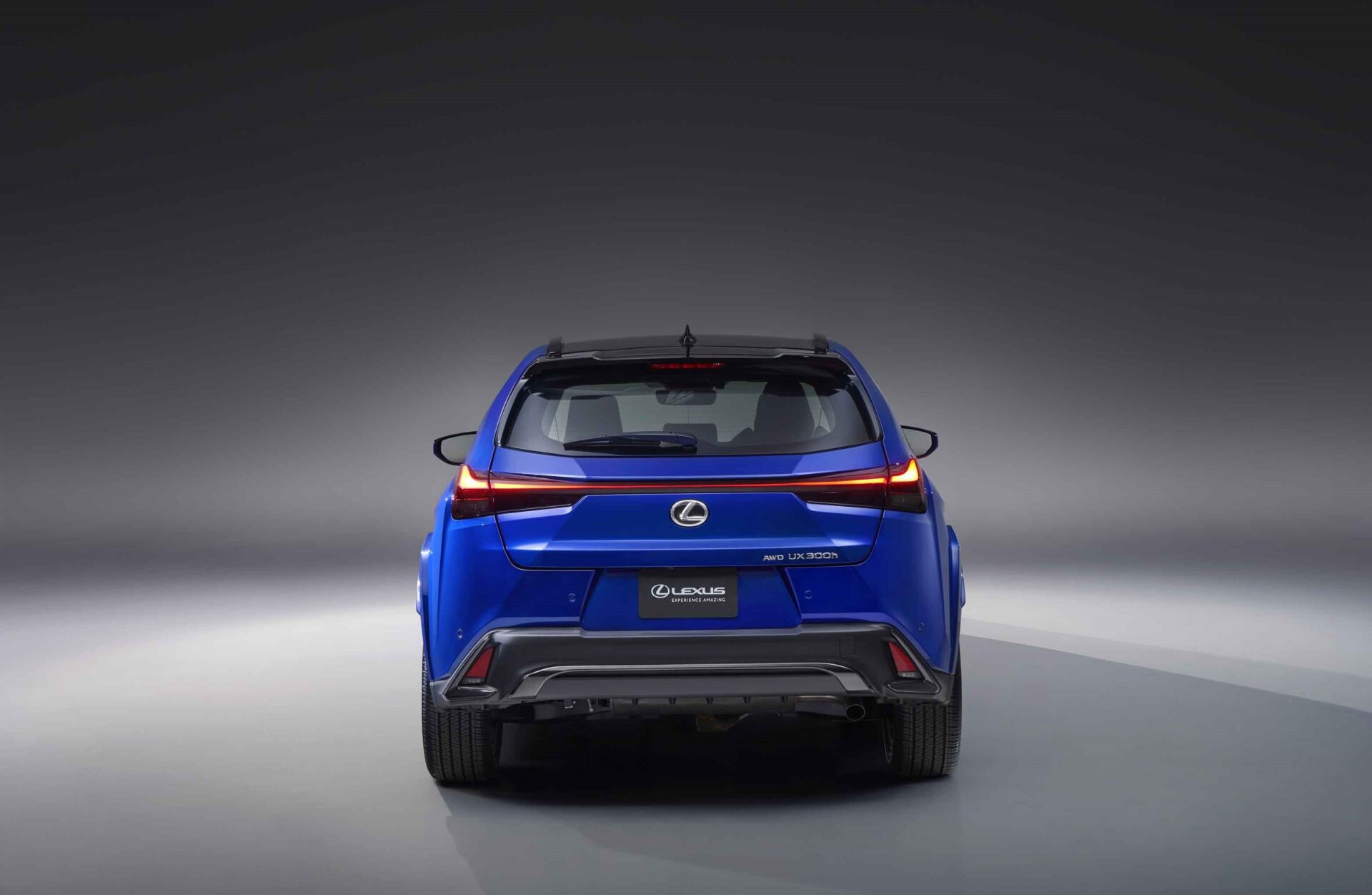 Lexus Ux H F Sport Ineax Motors