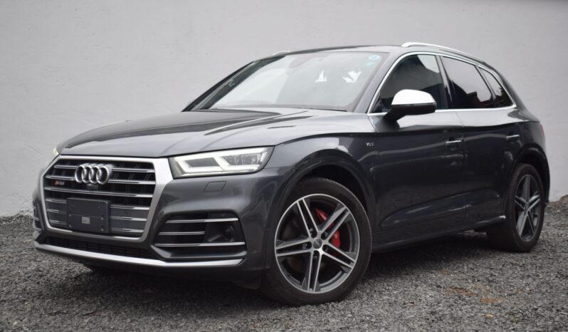 
AUDI SQ5 full									