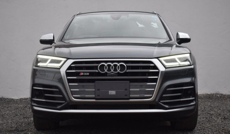 
AUDI SQ5 full									