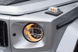 MERCEDES-BENZ G350D