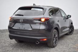 
MAZDA CX-8 full									