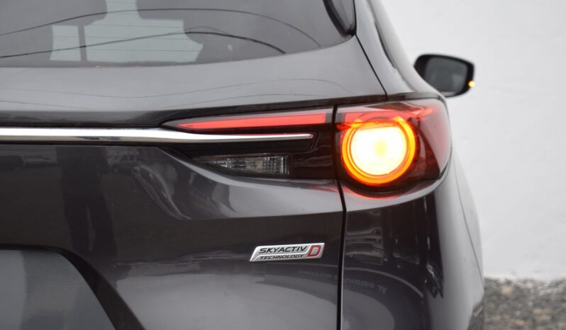 
MAZDA CX-8 full									
