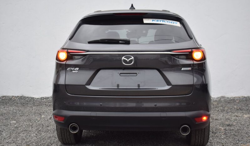 
MAZDA CX-8 full									
