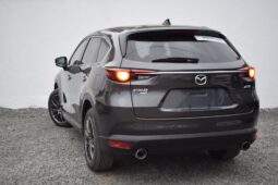 
MAZDA CX-8 full									