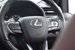 
LEXUS LX600 full									