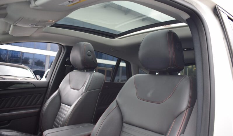 
MERCEDES-BENZ GLE full									